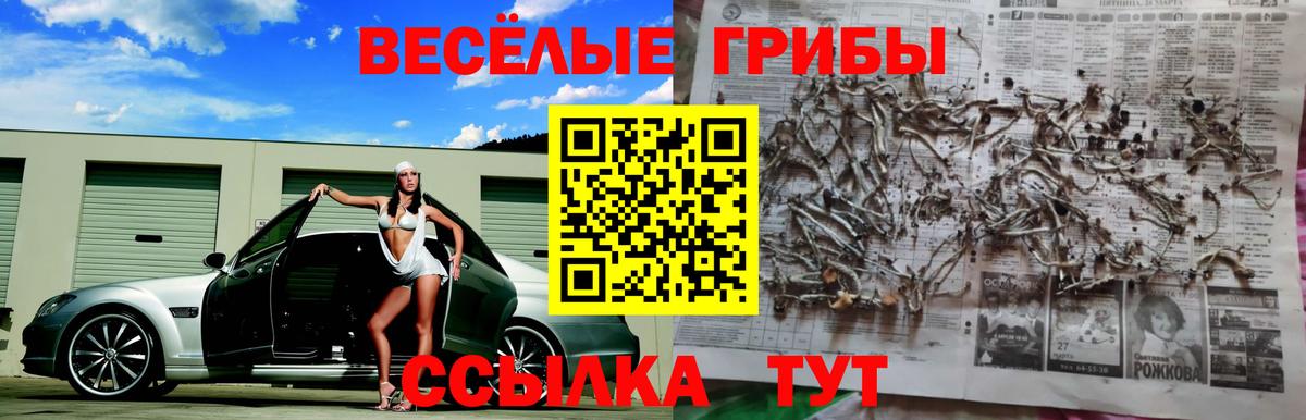 Галлюциногенные грибы Cubensis  Вход с VPN  Шуя  Галлюциногенные грибы прущие грибы 